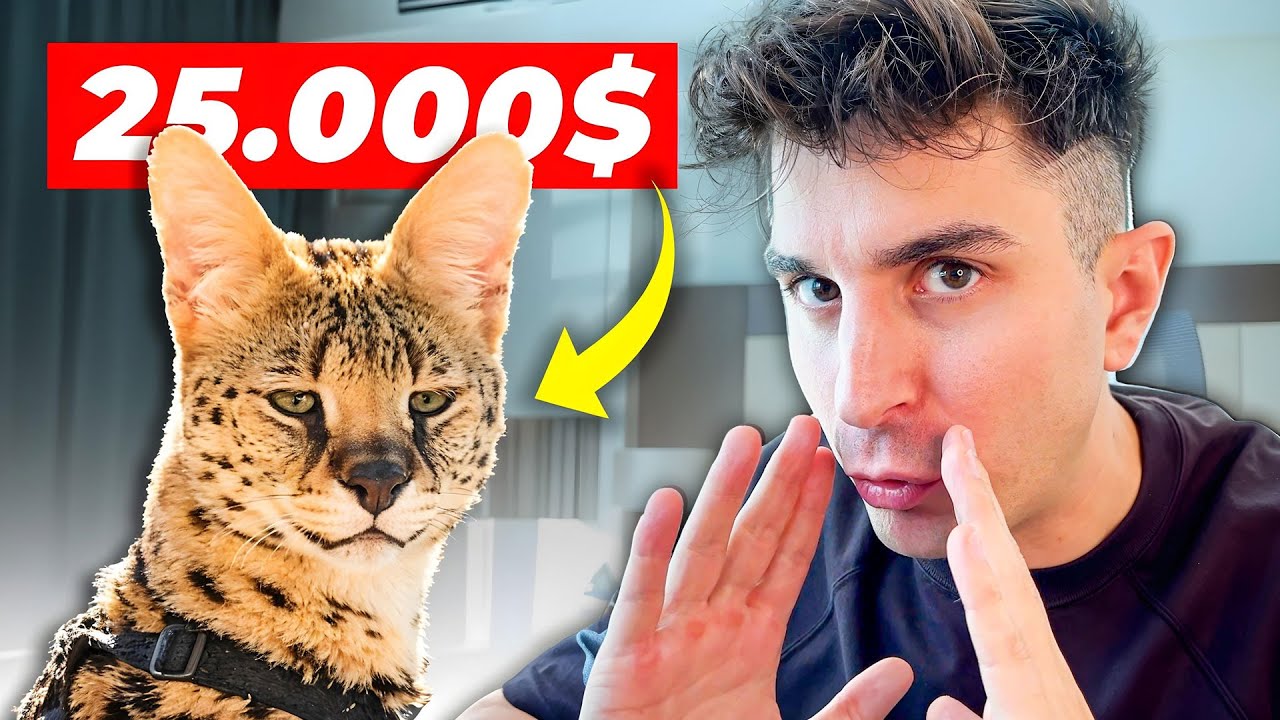 IL MIO NUOVO ANIMALE "DOMESTICO" DA 25'000 $ (Illegale in Italia)