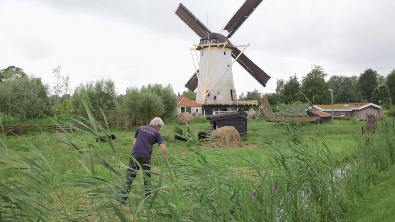 SCHIE TV: Monumentaal Schiedam: De Babbersmolen