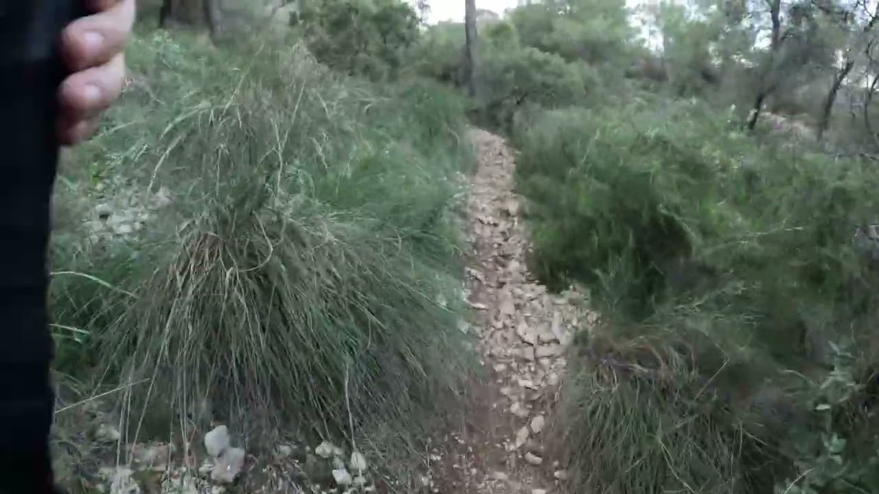 Encuentro un camino nuevo que resulta ser un curioso atajo