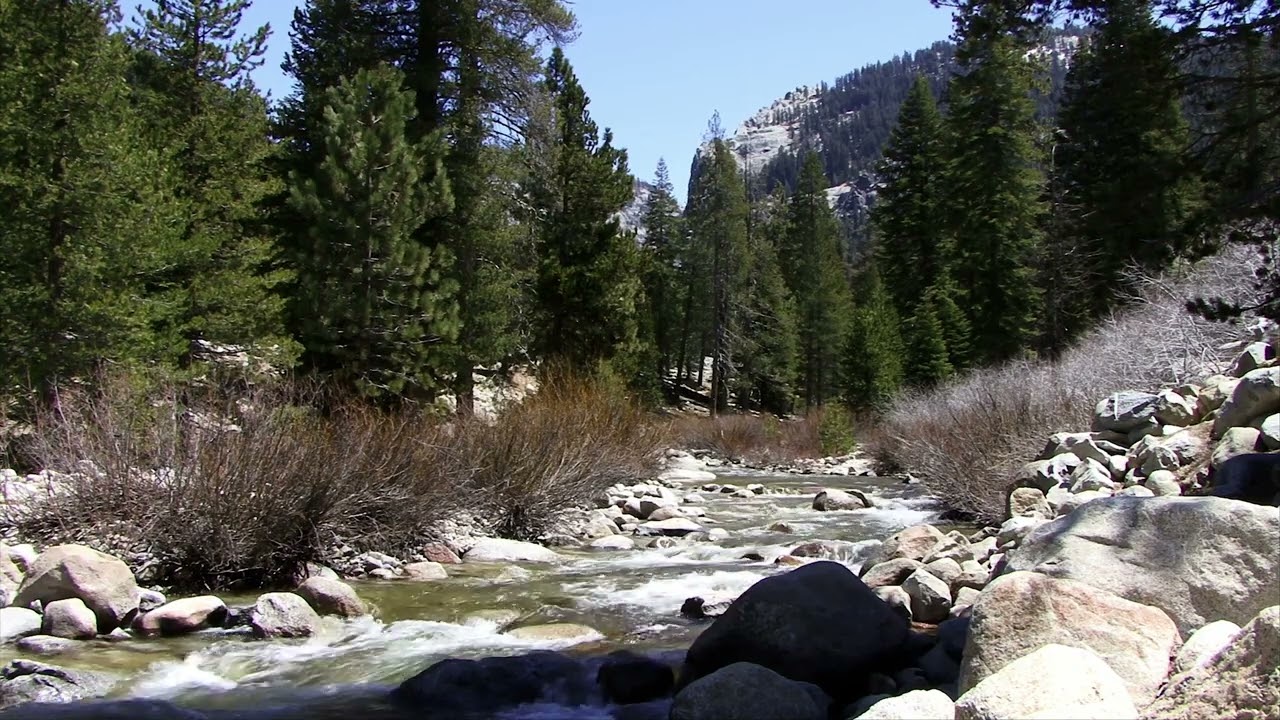 Mindful Moments: Express Meditation for Quick Relaxation