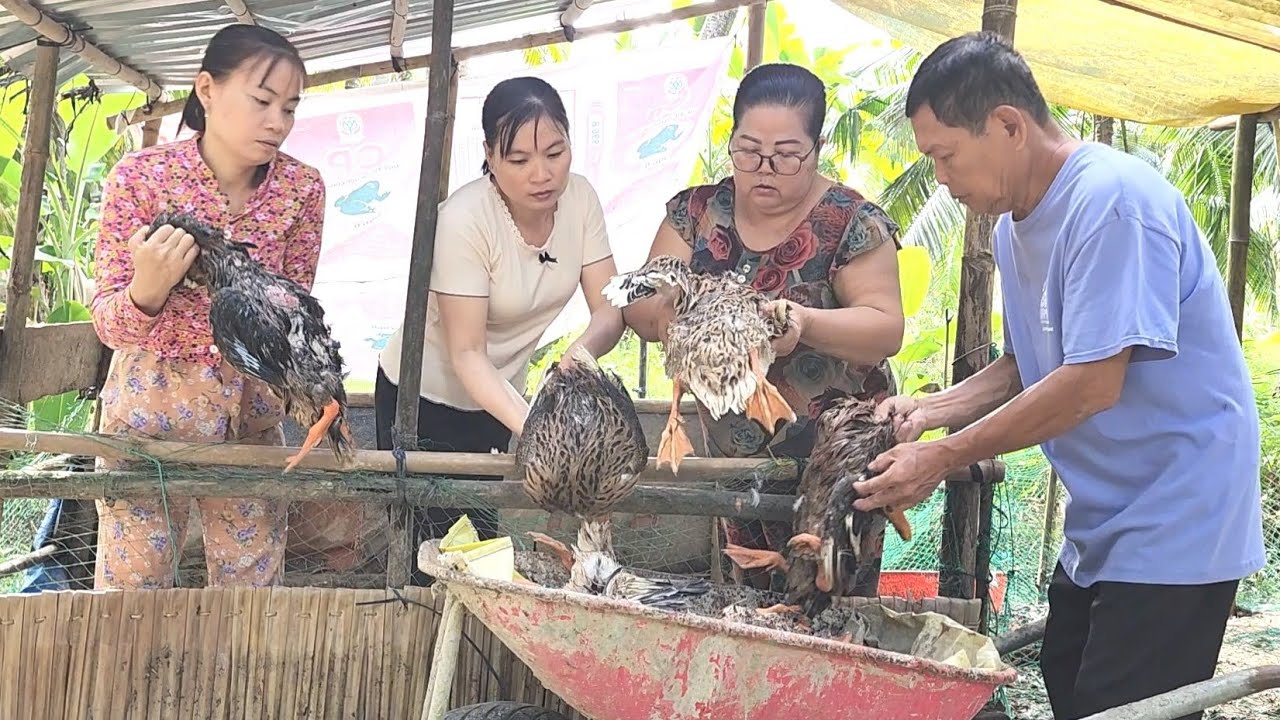 Buồn Rơi Nước Mắt Chỉ Sau Một Đêm Gia Đình Mới Phát Hiện Cảnh Này | BQCM & Family T955