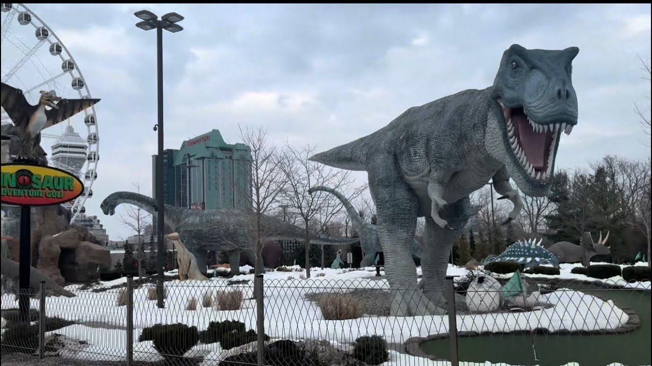 Niagara Falls🌊❄️ #real and natural beauty center #nature videos 
