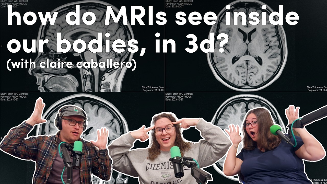 How do MRIs see inside our bodies, in 3D? (with Claire Caballero)