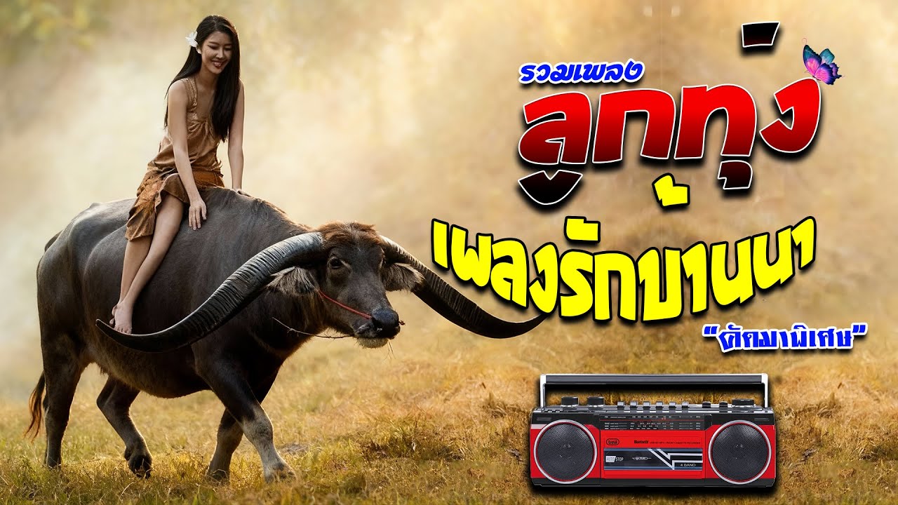 ลูกทุ่งรวมเพลง เพลงรักบ้านนา #เพลงฟังเพราะๆ 100%  