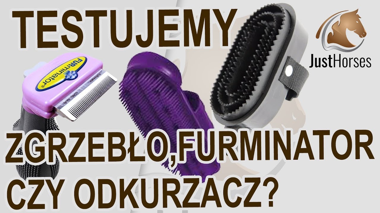 Co lepsze? Zgrzebło, furminator czy...odkurzacz?