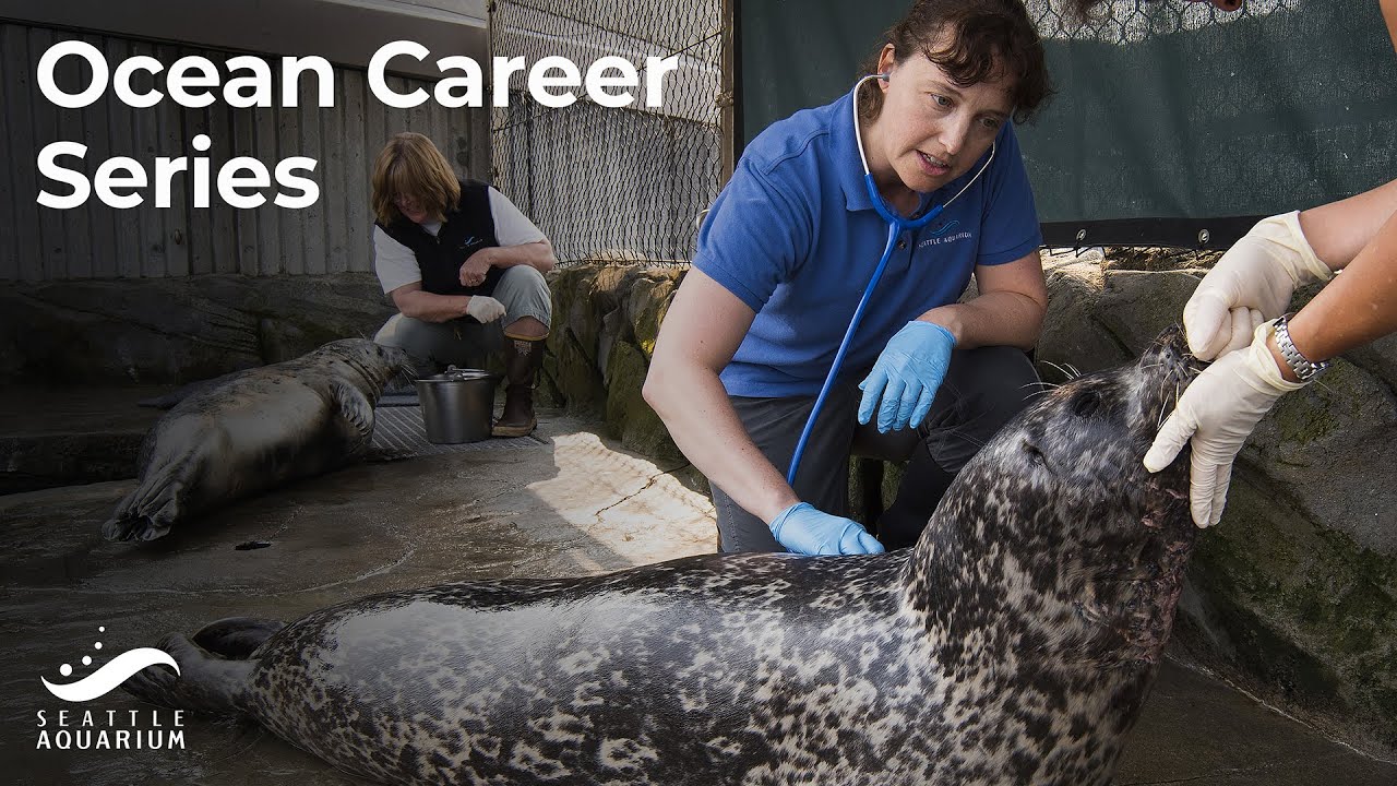 Becoming an Aquarium Vet: A Conversation with Seattle Aquarium's Senior Veterinarian