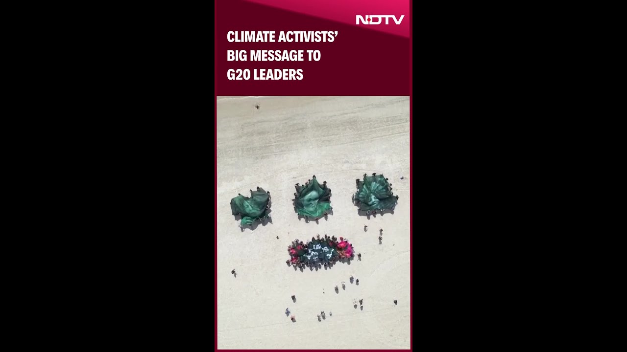 G20 Sumit 2024 | Message From Activists To G20 Leaders Ahead Of Summit: 'The Amazon Is Watching'