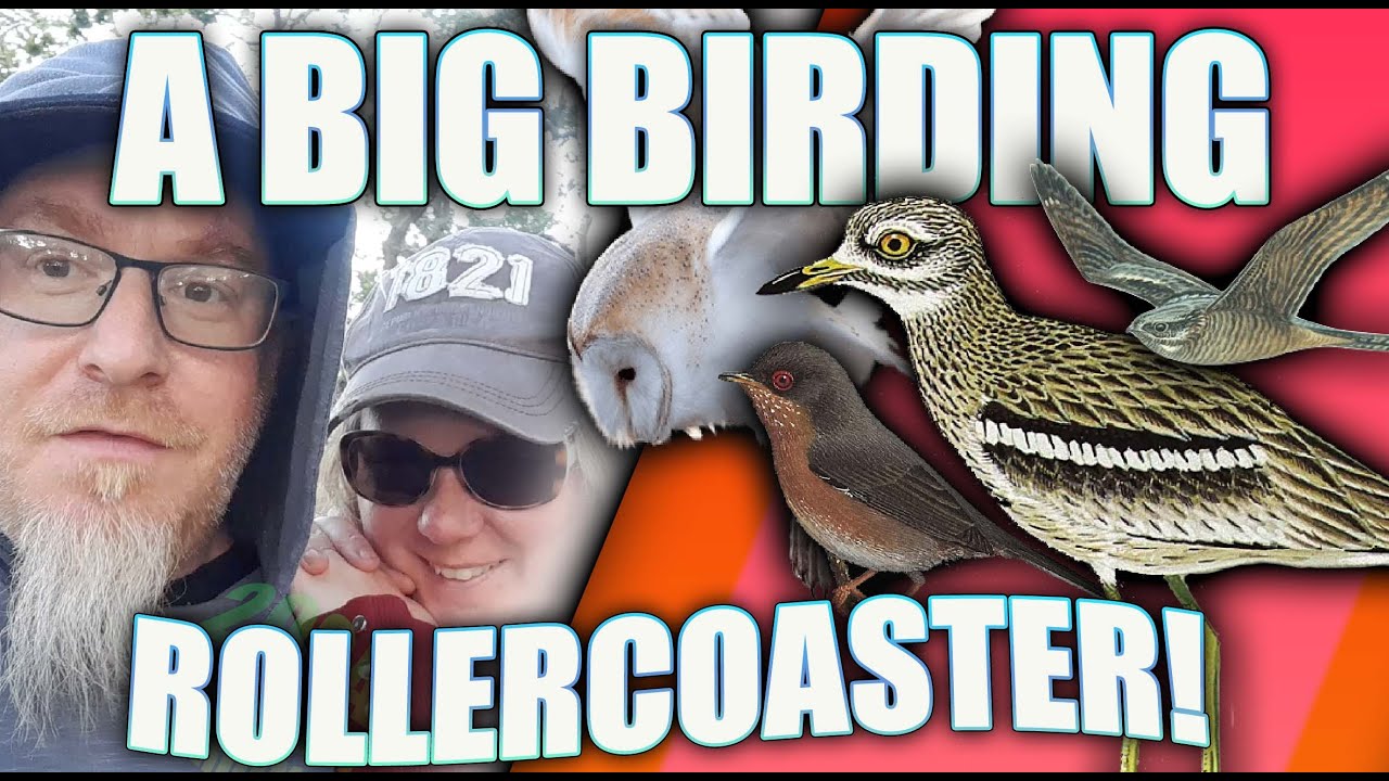 A UK BIRDING ROLLERCOASTER! The most challenging weekend yet!