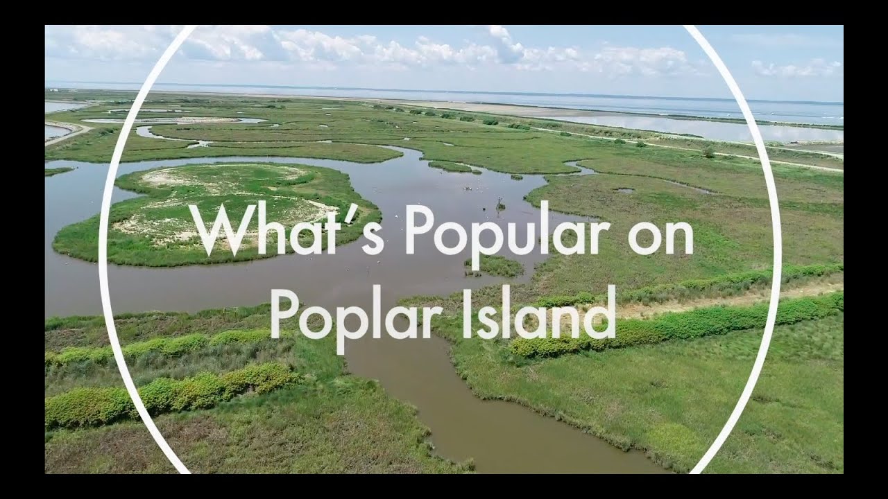 What is Poplar Island?: Introduction