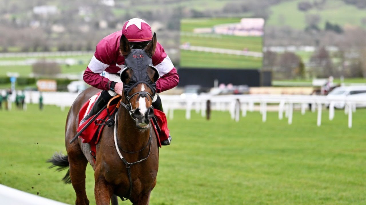 Favori De Champdou 6/1 for Cross Country following Cheltenham rout | Full Race | 2026 | Racing TV
