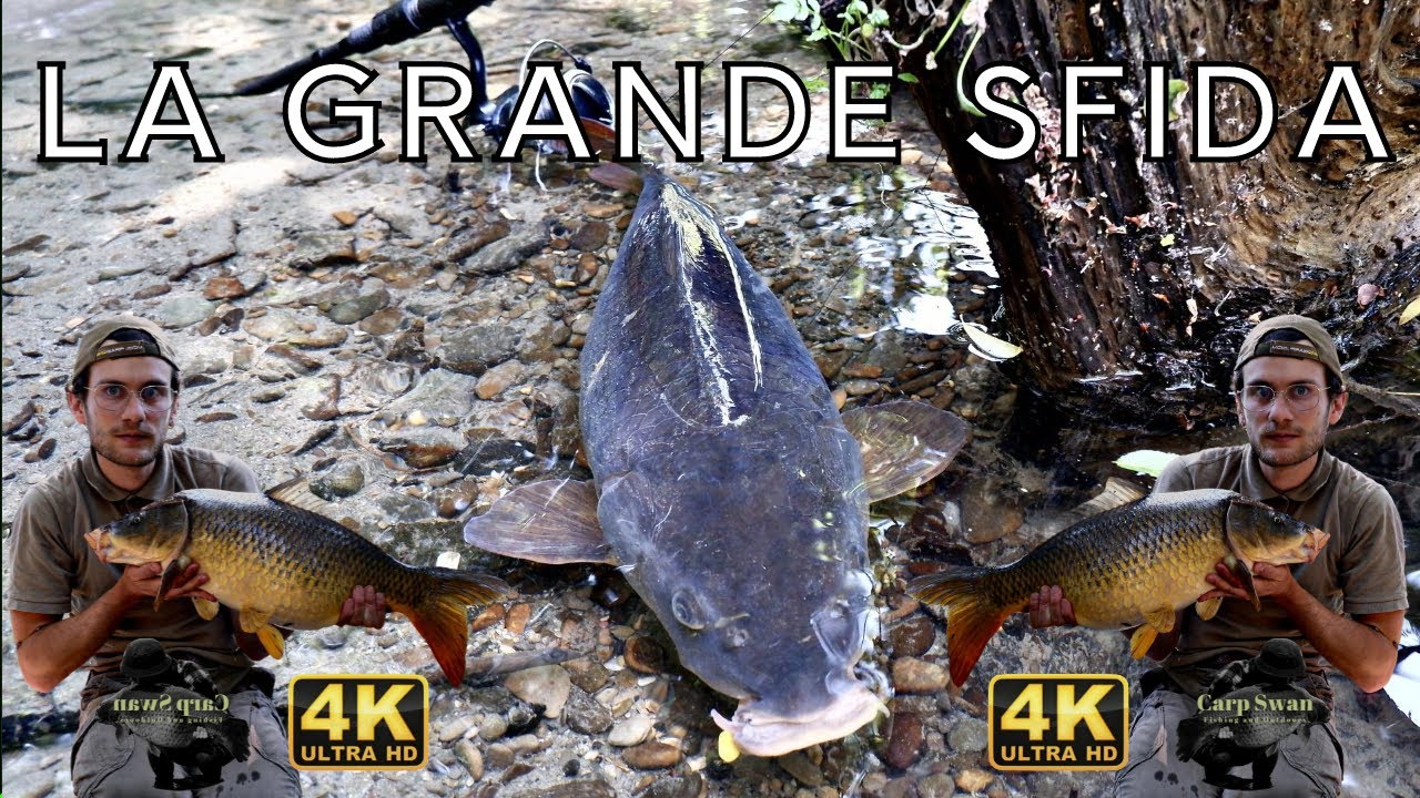 La grande sfida - avventura di pesca estrema in Tevere // Carpe di fiume 06