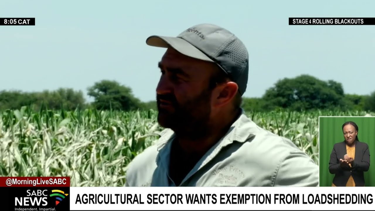Energy Crisis | Agricultural sector wants exemption from rolling blackouts