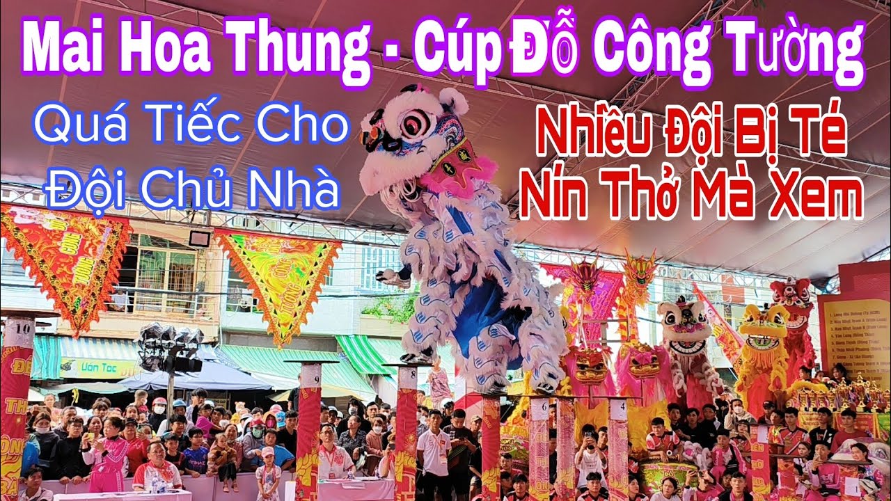 Giải Mai Hoa Thung Cúp Đỗ Công Tường - Lễ Giỗ Ông Bà Chủ Chợ Cao Lãnh Lần 203 - Hồi Hộp Thót Tim