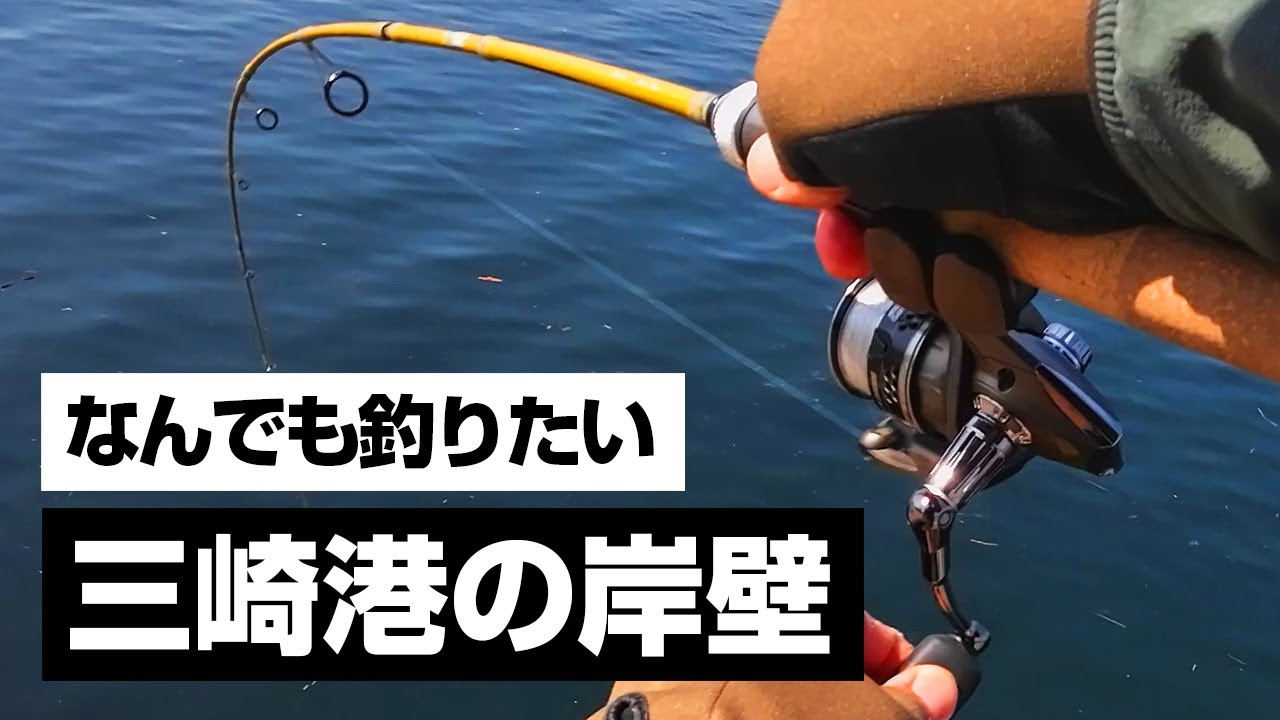 #114 釣り歴半年が無邪気に釣ります｜三崎港・城ヶ島