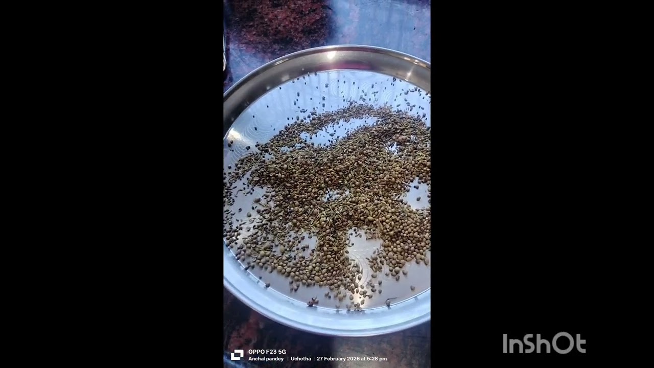 “5 मिनट में हरी मिर्च का चटपटा अचार 🌶️ | Instant Hari Mirch Achar Recipe”