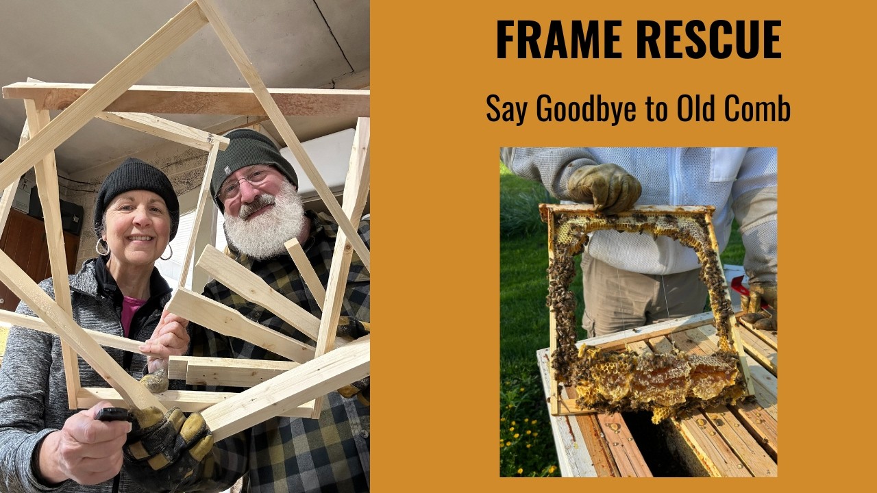 Frame Rescue:  Say Goodbye to Old Comb!