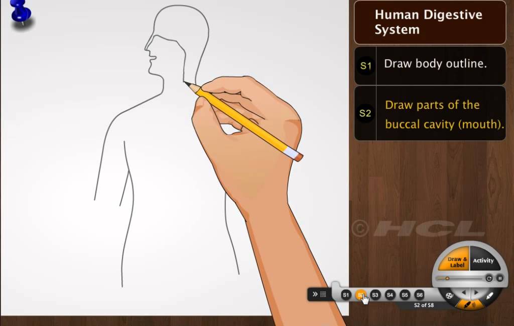 HCL Learning DigiSchool - Diagram Xplorer