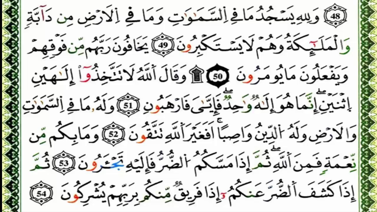 سورة النحل كاملة برواية ورش للقارئ العيون الكوشي