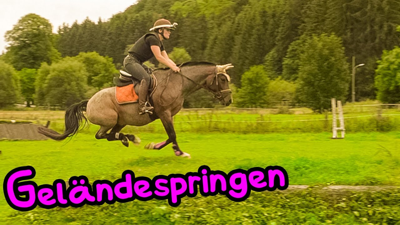 Das erste Geländespringen! 🦄 Geht das gut?
