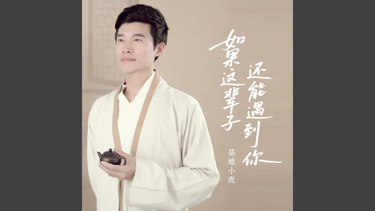 如果这辈子还能遇到你