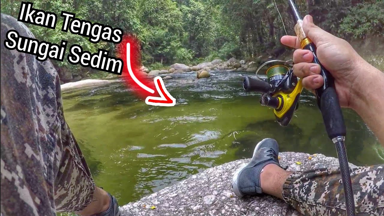 Memancing Ikan Tengas di Jeram ( Ultralight Fishing )