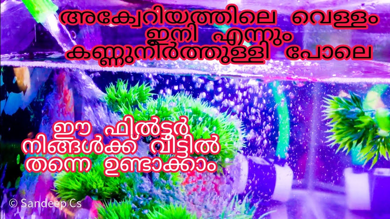 aquariaum filter/diy home made/വാട്ടർ ഫിൽറ്റർ / how to make aquarium filter/experiment/water purifer