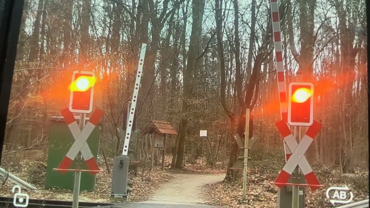 Bahnübergang im bentheimer Wald 🌳 beim Kurbad