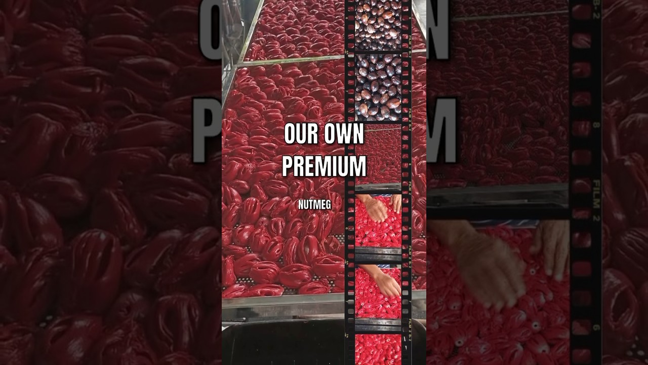 Directly from our own farms, these premium spices are ready to elevate your culinary creations!