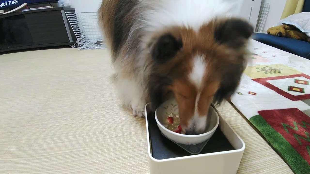 2025/2/15バレンタイン