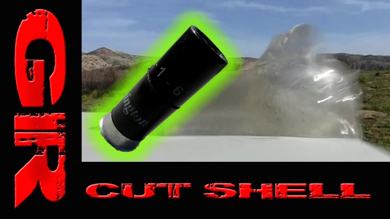 Gel Test - The Cut Shell