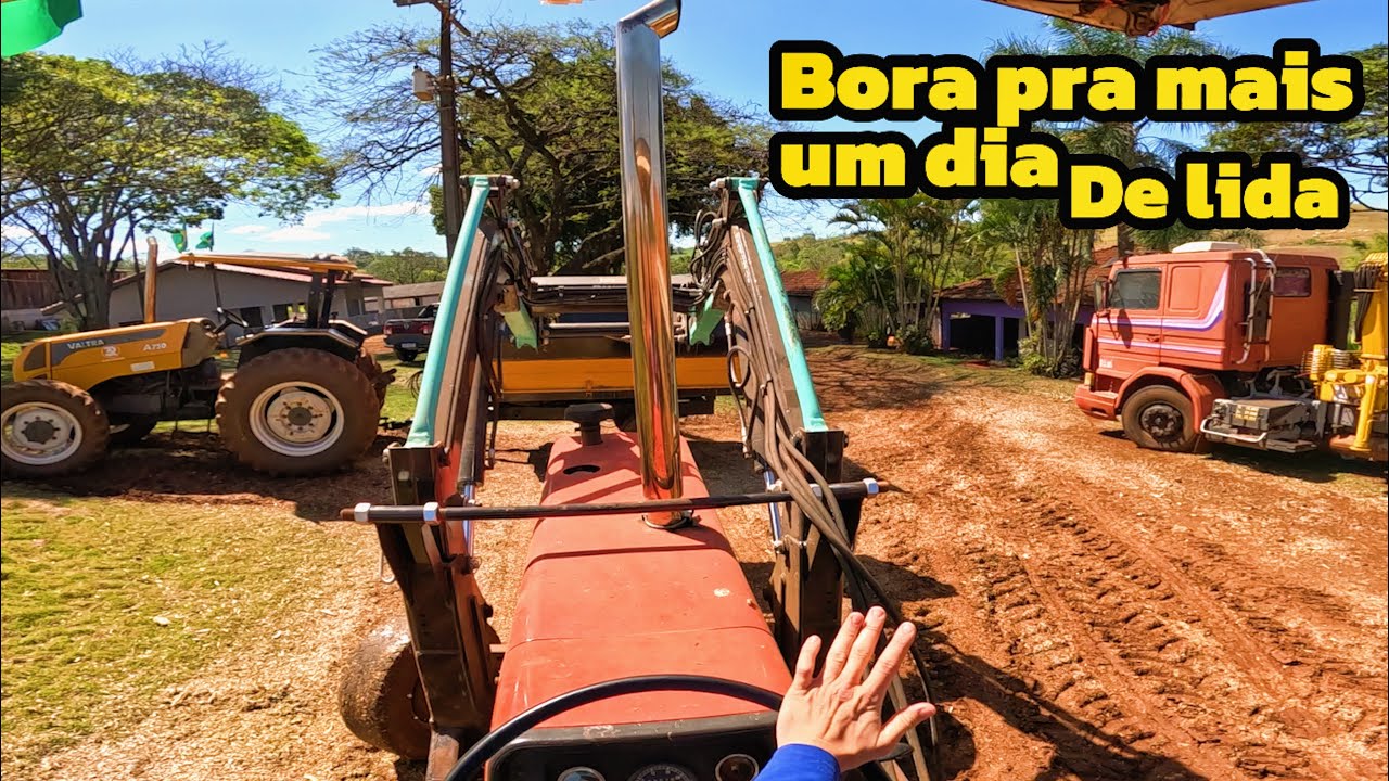 Paitrão quer plantar capim mombaça pra reformar o pasto (roçavlog)
