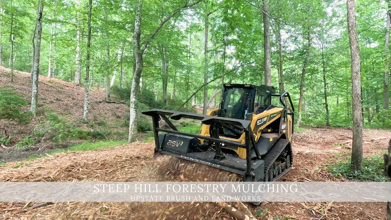 Forestry Mulching in a Steep Backyard
