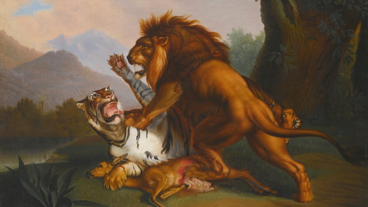 ROGUE LİON VS SHERE KHAN 2016