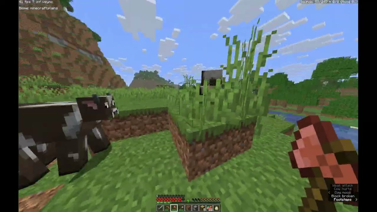 Minecraft Gameplay, Day 1