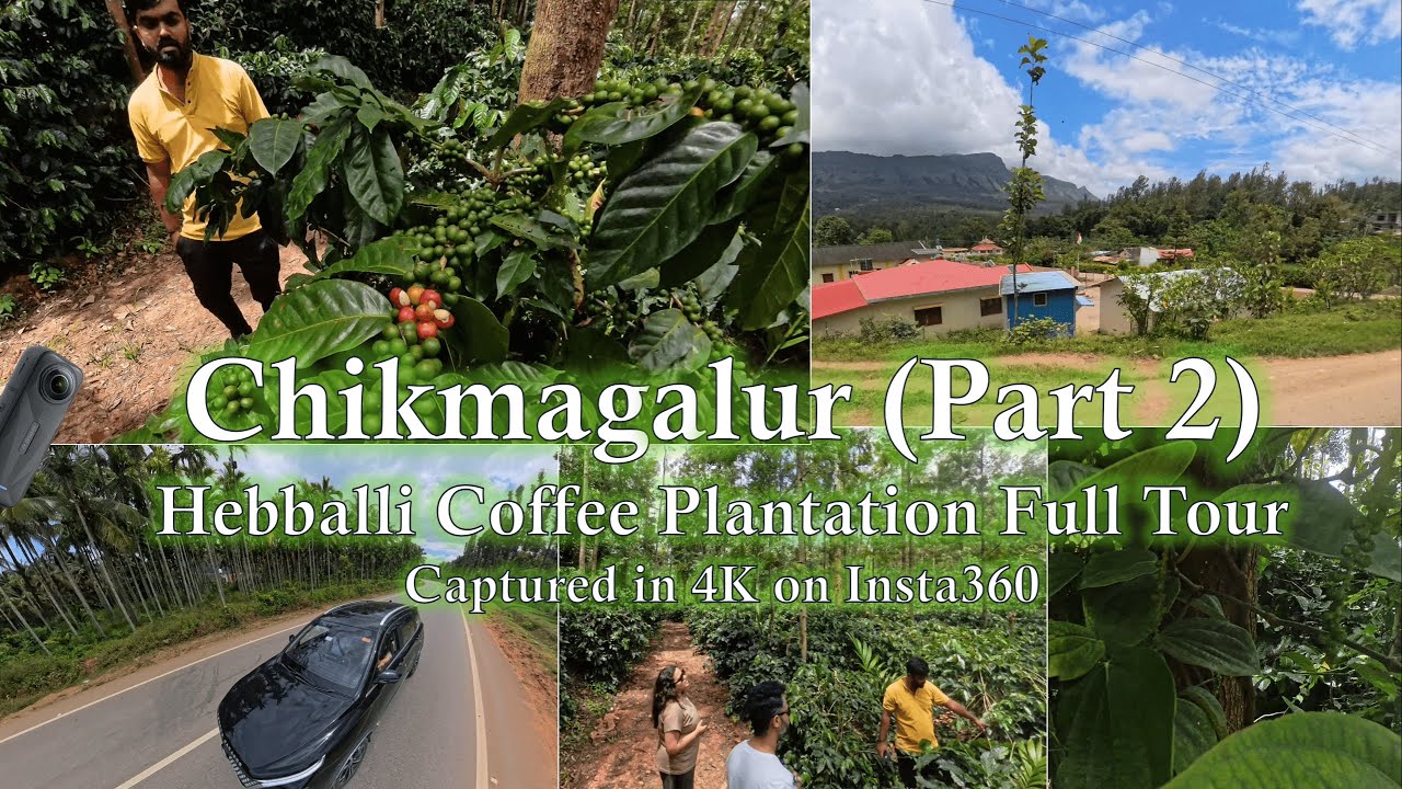 Chikmagalur Coffee Plantation Walkthrough (Part 2) | Full Hebbali Estate Tour & Coffee History in 4K