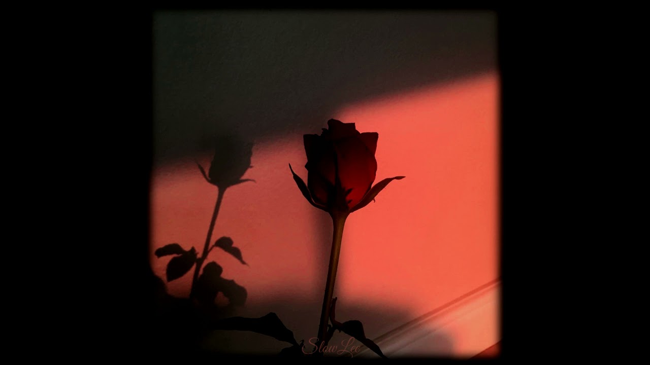 𝙲𝚘𝚞𝚕𝚍 𝙸 𝙷𝚊𝚟𝚎 𝚃𝚑𝚒𝚜 𝙺𝚒𝚜𝚜 𝙵𝚘𝚛𝚎𝚟𝚎𝚛 (𝖘𝖑𝖔𝖜𝖊𝖉+𝖗𝖊𝖛𝖊𝖗𝖇)