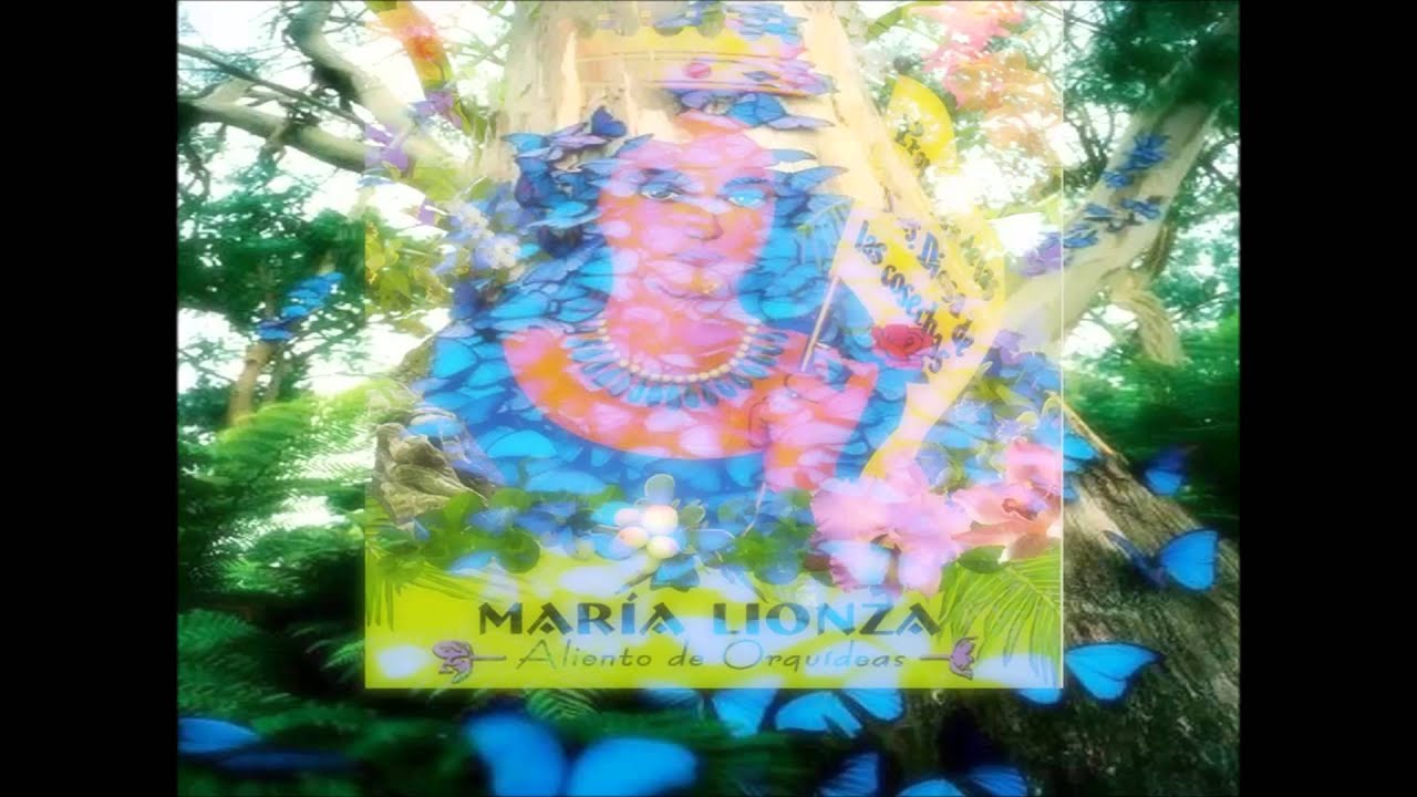 008 •Ƹ̵̡Ӝ̵̨̄Ʒ• Negro Felipe