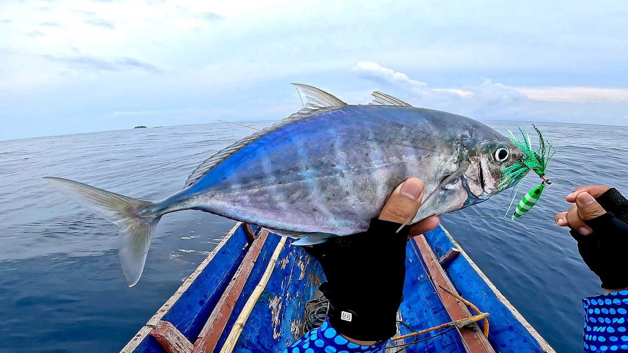 PERLAWANAN BEGITU KUAT, IKAN CERMIN LANDED DENGAN SEMPURNA