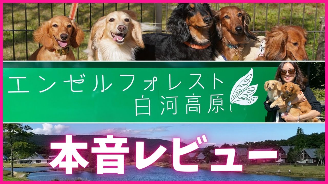 【本音レビュー】犬連れ旅行エンゼルフォレスト白河高原