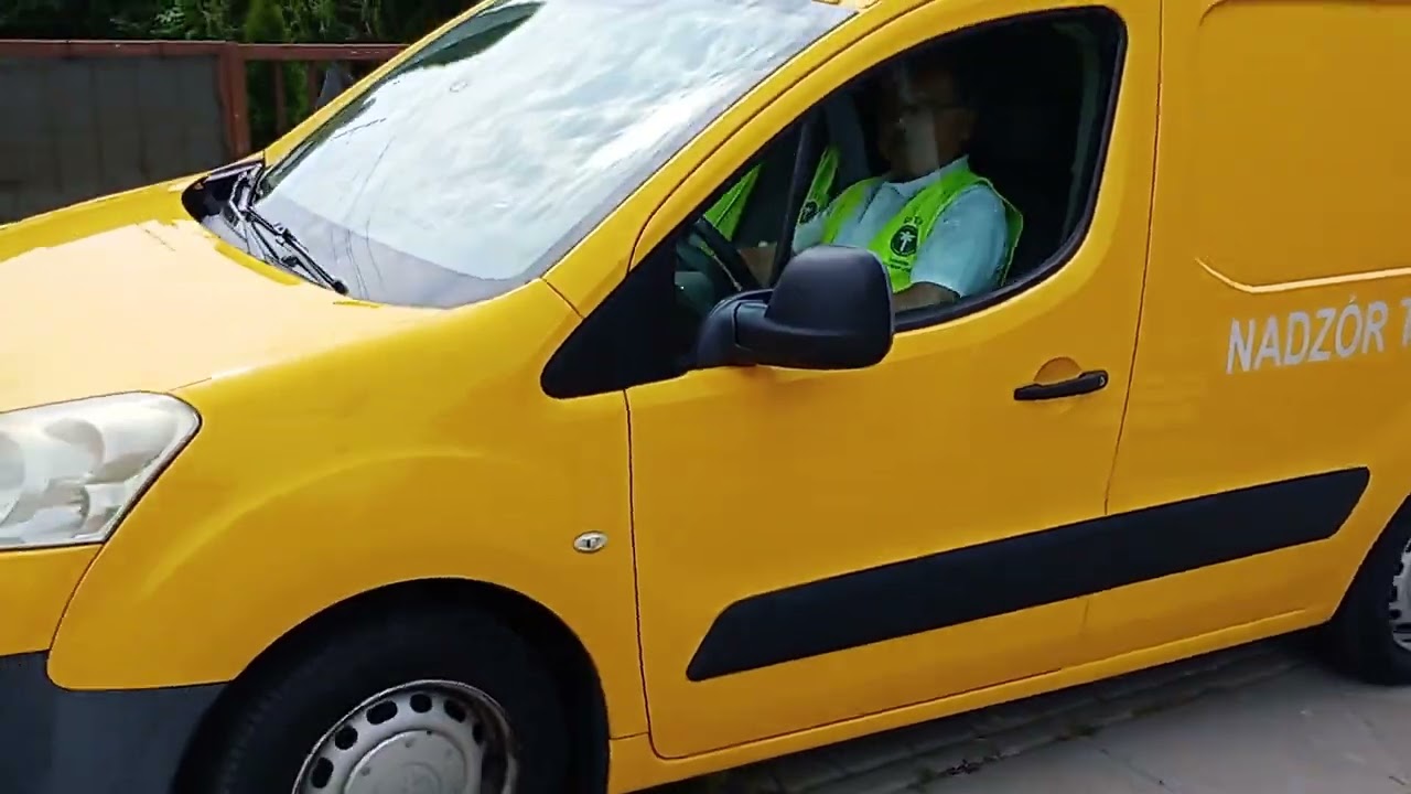 Krokodyl złapany na gorącym uczynku....