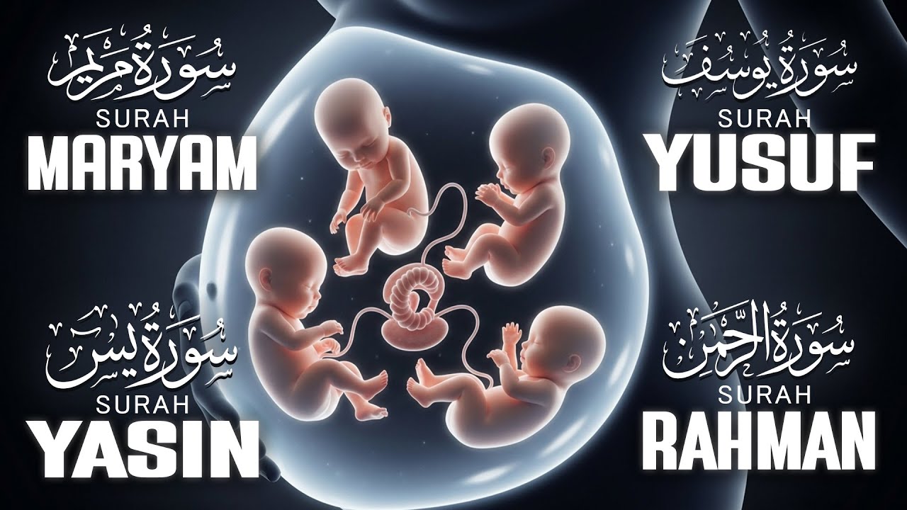 Pregnancy Quran Recitation Surah Of  Maryam | Yusuf,Yasin,Mulk | That Comforts Baby’s Innocent Heart