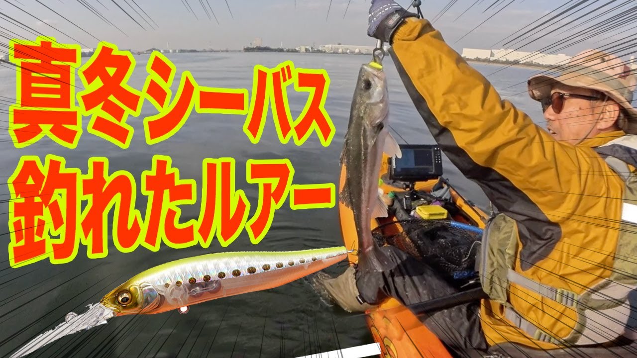 【メガバスX-80】真冬の東京湾奥でシーバスを釣れ【黒鯛】