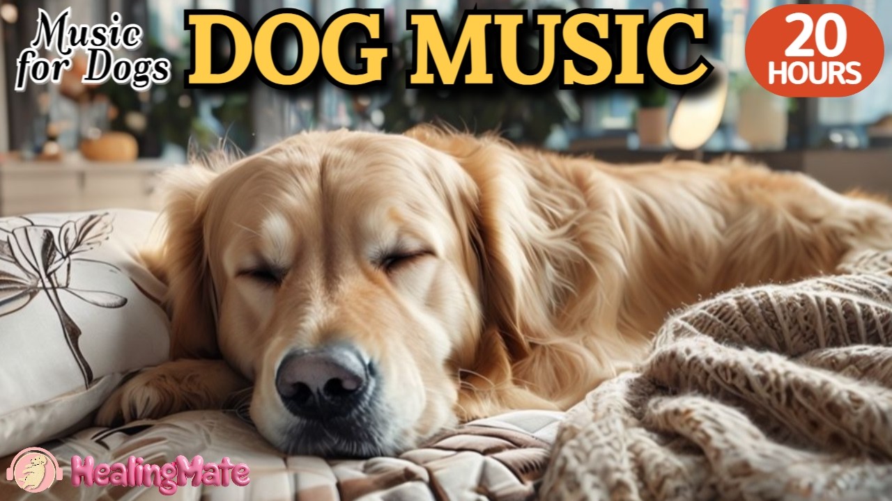 강아지가 좋아하는 음악💖🐶강아지 수면 음악 20시간🐶🎵강아지 분리불안을 해소에 좋은 음악 🎵💖혼자있는 반려견 스트레스해소 음악🎵💖외출할때 출근할때 꼭 틀어주세요 by 힐링메이트