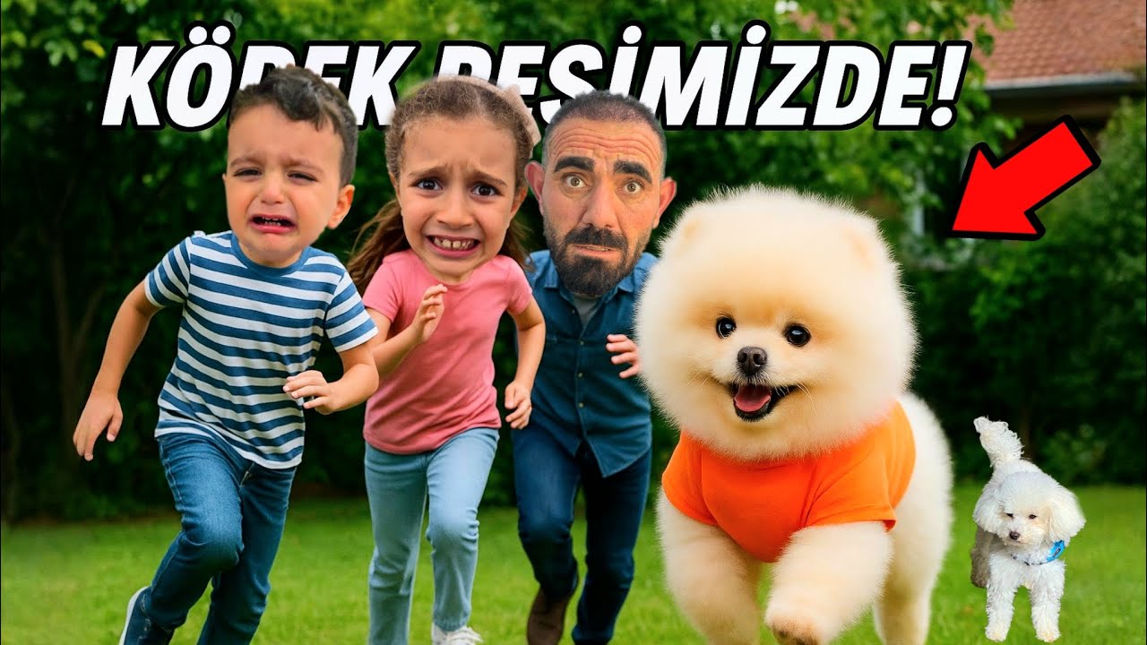 POYRAZ ELİF SÜRPRİZ MİSAFİR YAVRU KÖPEK ÇIKTI!!