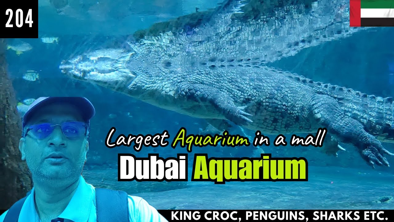 World's largest aquarium in a mall | Dubai Aquarium | Ravi Travel Vlogs