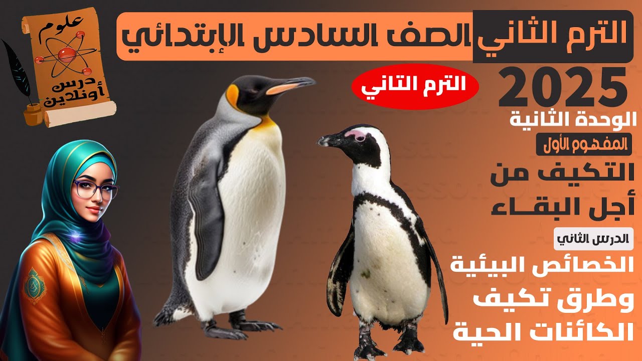 C2 - علوم الصف السادس الترم التاني 2026 المفهوم الثالث- الدرس الثاني( الخصائص البيئية و طرق التكيف )
