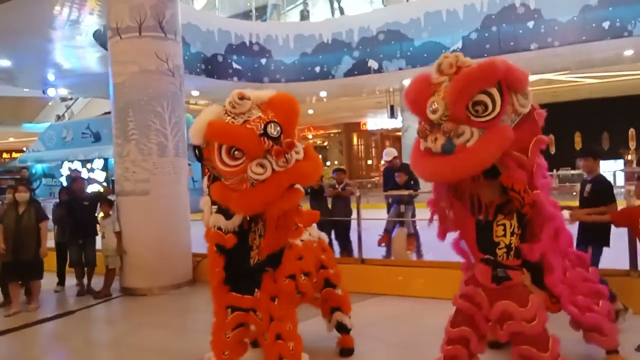 Jalan jalan ada pembukaan jualan minuman  sancha dan atraksi barongsai di gaia bumi raya city mall