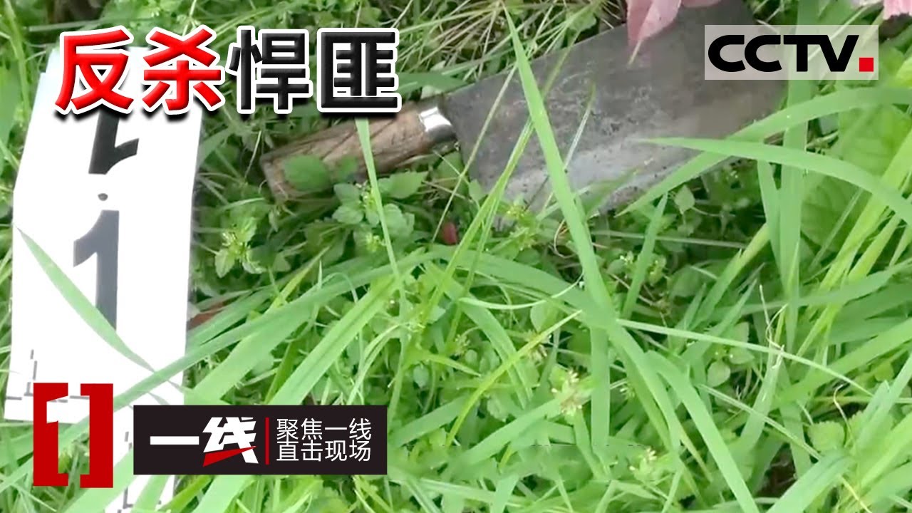 《一线》男子在公园遭遇持刀抢劫 掏出刀将劫匪反杀 法院二审这样改判！20220815 | CCTV社会与法