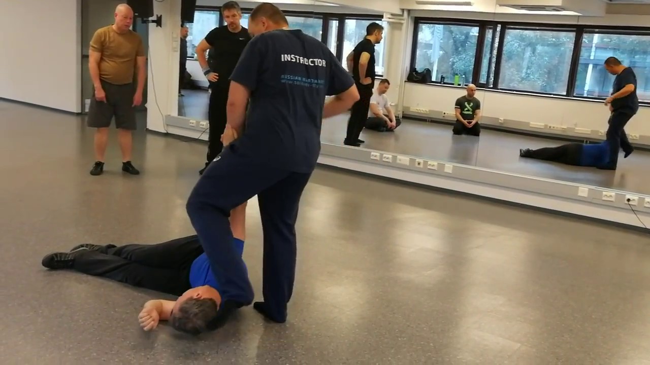 Mitschnitt des Seminars mit Falko Zander | Helsinki, September 2017