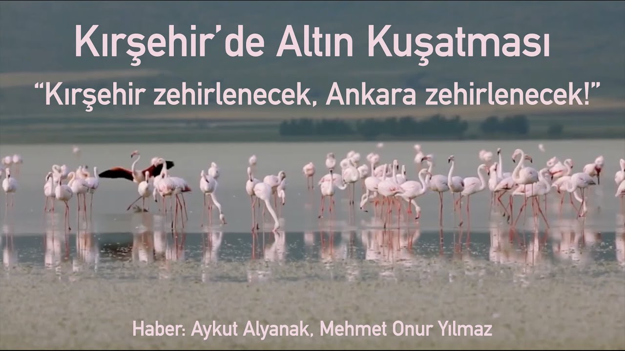 Kırşehir'de Altın Kuşatması 